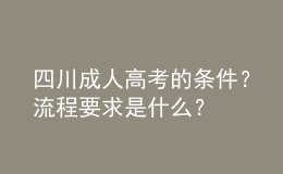 四川成人高考的條件？流程要求是什么？