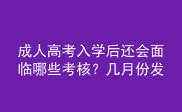 成人高考入學(xué)后還會(huì)面臨哪些考核？幾月份發(fā)畢業(yè)證？