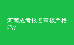 河南成考報名審核嚴(yán)格嗎?