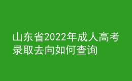 山東省2022年成人高考錄取去向如何查詢？通知書怎么發(fā)放？