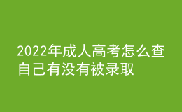 2022年成人高考怎么查自己有沒有被錄??？學歷國家認可？