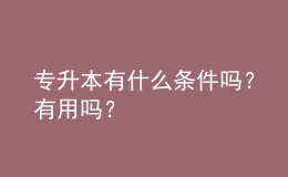 專升本有什么條件嗎？有用嗎？ 
