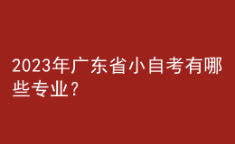 2023年廣東省小自考有哪些專業(yè)？ 
