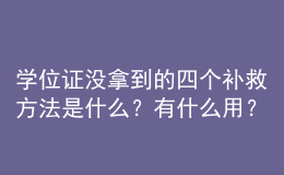 學位證沒拿到的四個補救方法是什么？有什么用？ 