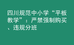 四川規(guī)范中小學(xué)“平板教學(xué)”：嚴禁強制購買、違規(guī)分班
