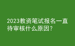 2023教資筆試報(bào)名一直待審核什么原因？