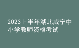 2023上半年湖北咸寧中小學教師資格考試筆試報名審核公告
