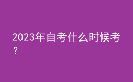 2023年自考什么時(shí)候考？ 