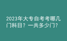 2023年大專自考考哪幾門科目？一共多少門？ 