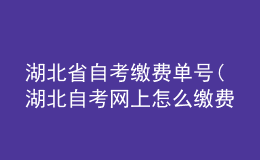 湖北省自考繳費(fèi)單號(湖北自考網(wǎng)上怎么繳費(fèi))