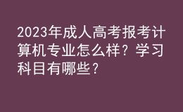 2023年成人高考報考計算機專業(yè)怎么樣？學習科目有哪些？