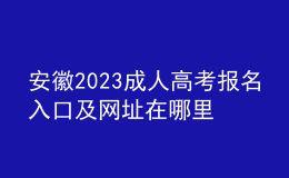 安徽2023成人高考報(bào)名入口及網(wǎng)址在哪里？