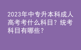 2023年中專升本科成人高考考什么科目？統(tǒng)考科目有哪些？