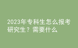 2023年?？粕趺磮罂佳芯可?？需要什么條件？