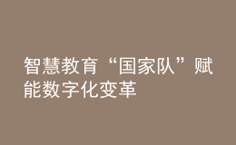 智慧教育“國家隊”賦能數(shù)字化變革