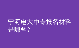 寧河電大中專報(bào)名材料是哪些？