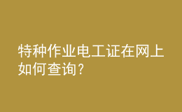 特種作業(yè)電工證在網(wǎng)上如何查詢？