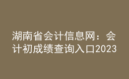 湖南省會計信息網(wǎng)：會計初成績查詢?nèi)肟?023