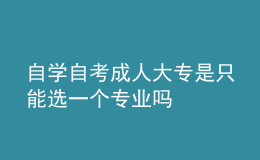 自學(xué)自考成人大專是只能選一個(gè)專業(yè)嗎 