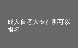 成人自考大專在哪可以報(bào)名 