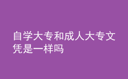 自學(xué)大專和成人大專文憑是一樣嗎 