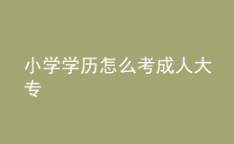 小學(xué)學(xué)歷怎么考成人大專