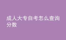 成人大專自考怎么查詢分數(shù) 