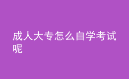 成人大專怎么自學(xué)考試呢 