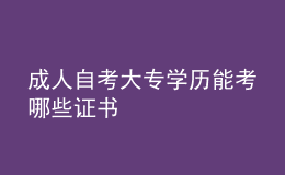 成人自考大專學歷能考哪些證書 