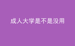 成人大學是不是沒用