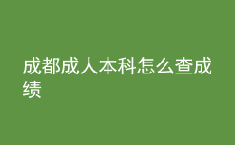 成都成人本科怎么查成績