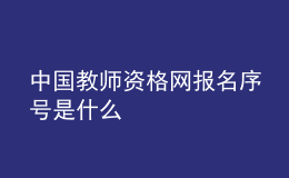 中國教師資格網(wǎng)報(bào)名序號是什么