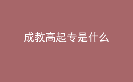 成教高起專(zhuān)是什么