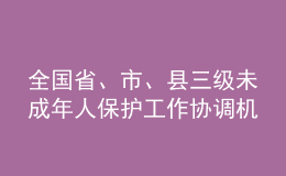 全國(guó)省、市、縣三級(jí)未成年人保護(hù)工作協(xié)調(diào)機(jī)制實(shí)現(xiàn)全覆蓋