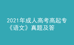 2021年成人高考高起專《語文》真題及答案