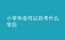 小學畢業(yè)可以自考什么學歷