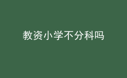 教資小學(xué)不分科嗎