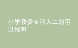 小學(xué)教資專科大二的可以報嗎