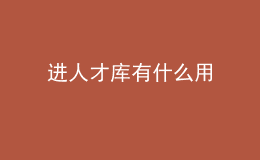 進人才庫有什么用