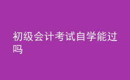 初級會計考試自學(xué)能過嗎