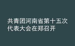 共青團河南省第十五次代表大會在鄭召開