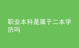 職業(yè)本科是屬于二本學(xué)歷嗎