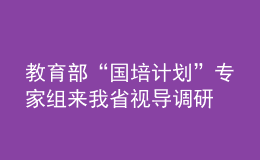 教育部“國(guó)培計(jì)劃”專家組來(lái)我省視導(dǎo)調(diào)研