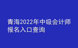青海2022年中級(jí)會(huì)計(jì)師報(bào)名入口查詢(xún)