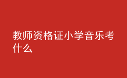 教師資格證小學音樂考什么