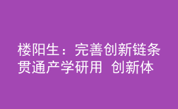 樓陽生：完善創(chuàng)新鏈條貫通產(chǎn)學(xué)研用 創(chuàng)新體制機制激發(fā)創(chuàng)造活力