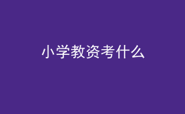 小學教資考什么