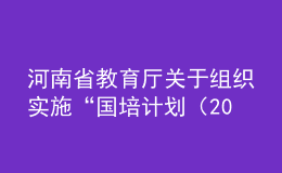 河南省教育廳關(guān)于組織實(shí)施“國(guó)培計(jì)劃（2020）” ——河南省中小學(xué)幼兒園教師培訓(xùn)項(xiàng)目的通知