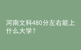 河南文科480分左右能上什么大學？