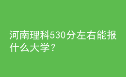 河南理科530分左右能報什么大學(xué)？